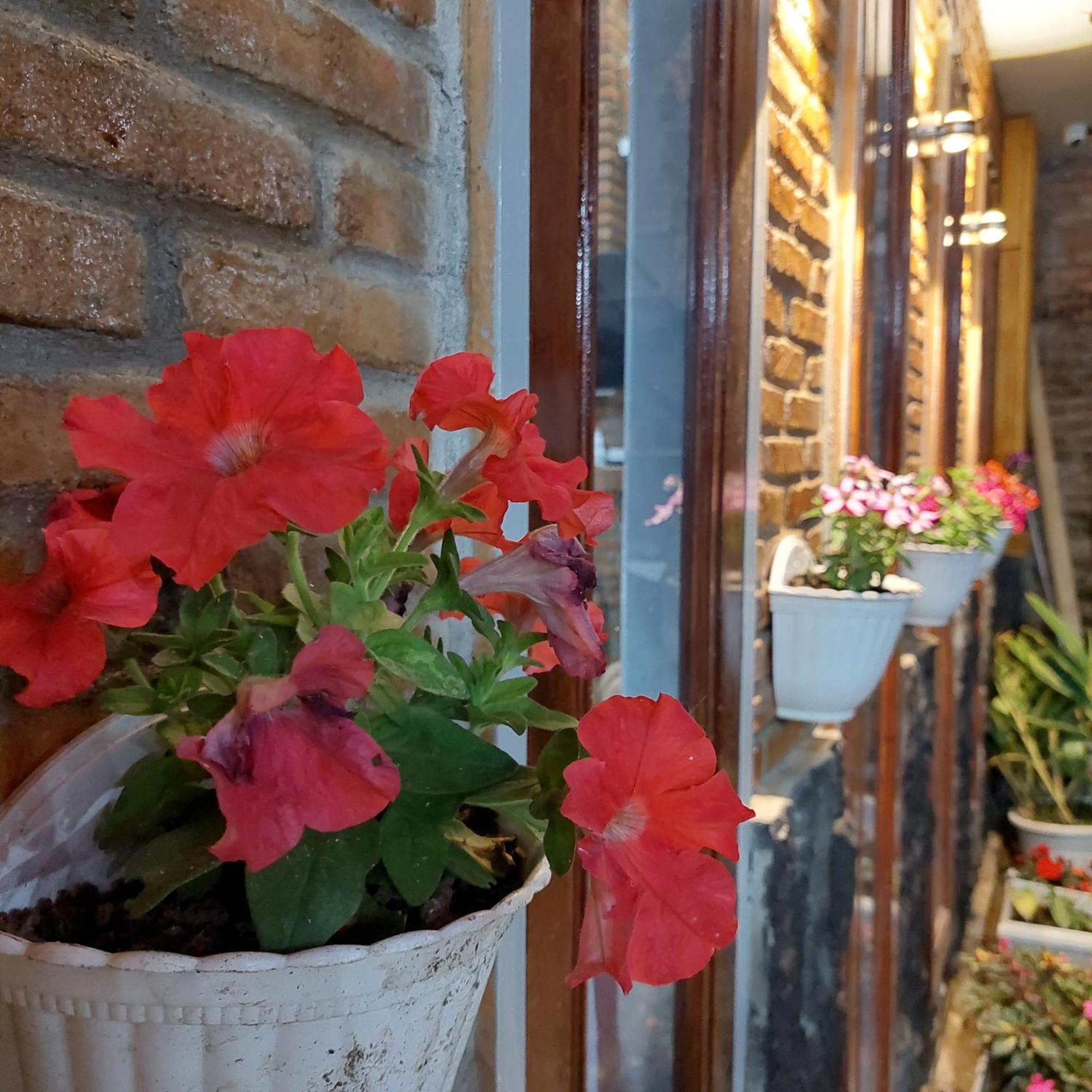 Sapo Rumbia Berastagi Rom bilde